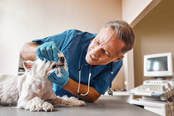 Best Urgent Dental Care  in Bridgeport, NE